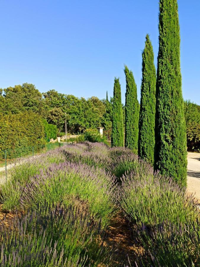 La Bastide De Cocagne Bed and Breakfast Rognes Buitenkant foto
